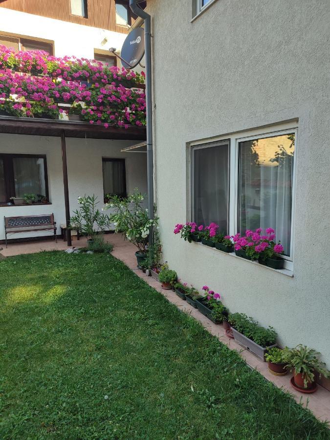 Apartman Mitic Požarevac Exterior foto